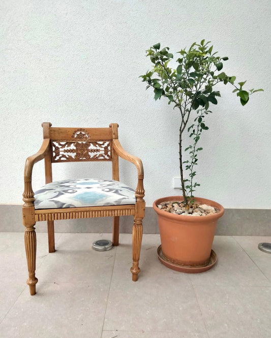Restaura tu mueble: dale una segunda vida con tus manos